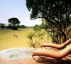 Andere Gebiete - Phinda Vlei Lodge